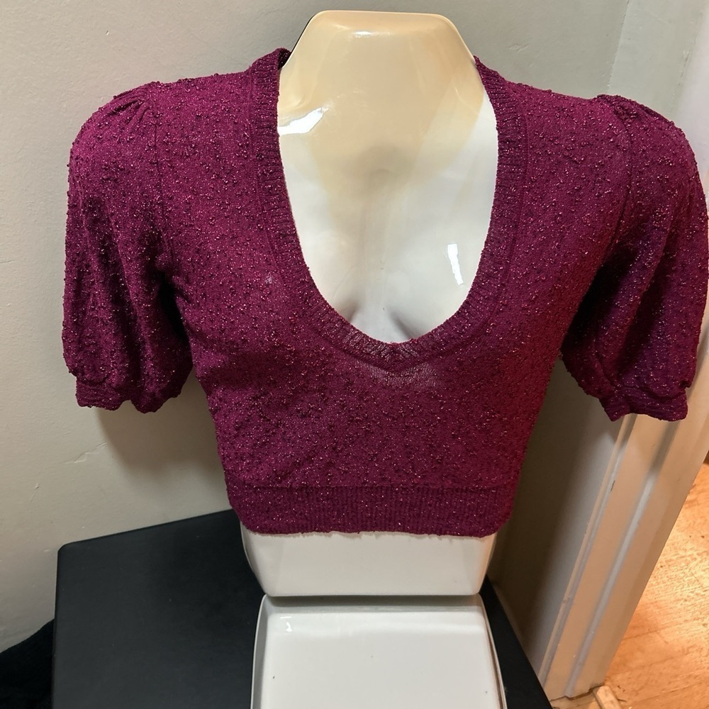 Zara pink glittery top. Size small.